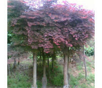 產(chǎn)品庫(kù)