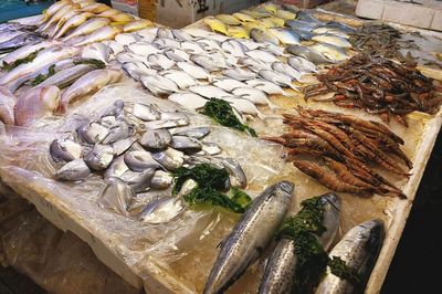 武夷山路海鮮市場 休漁期依舊琳瑯滿目，價格親民選擇多樣