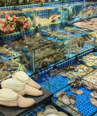 老廣年貨圖鑒 海鮮、年宵花購銷兩旺，水產品市場熱鬧非凡