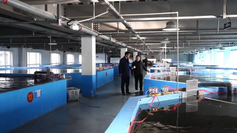 冬日暖陽(yáng)里，聽一曲鄉(xiāng)村振興的“魚米”交響