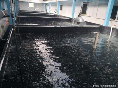 工廠化水產(chǎn)養(yǎng)殖 科技引領(lǐng)下的現(xiàn)代水產(chǎn)品生產(chǎn)方式