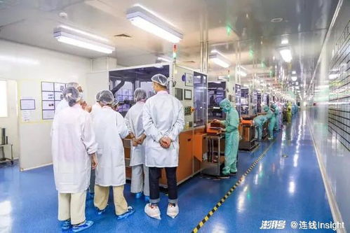 業(yè)績向好，股價(jià)卻下跌 新消費(fèi)‘第一股’們怎么了？